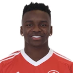 ج. كاربونيرو