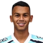 فرناندو هنريك