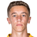 ج. فان دير غاغ