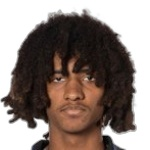 السيد تشانغ