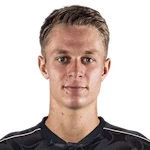 ه. نيكولوسي